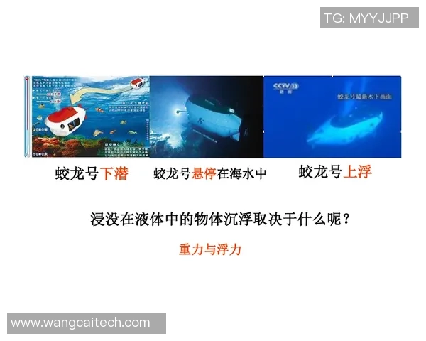 崇明虎将蓄势待发，海港新岁启新程：谁主沉浮？